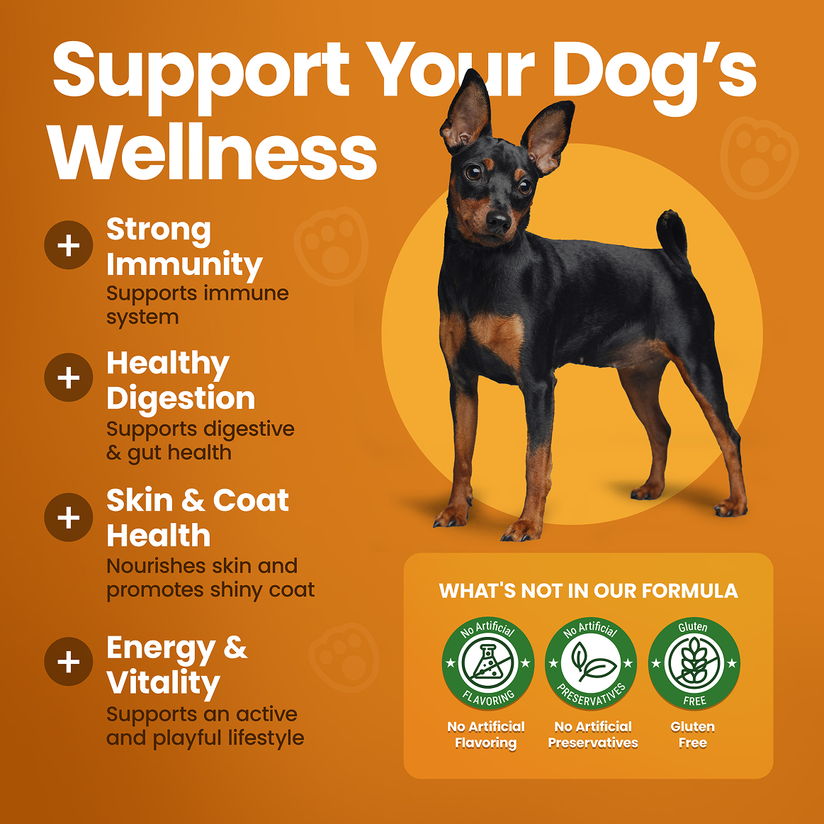 Multivitamin